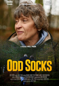 Odd Socks (2013)
